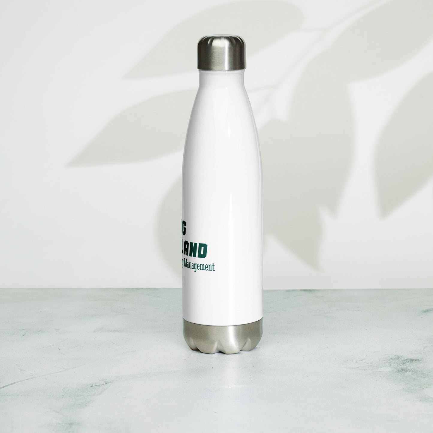 Stainless Steel Water Bottle